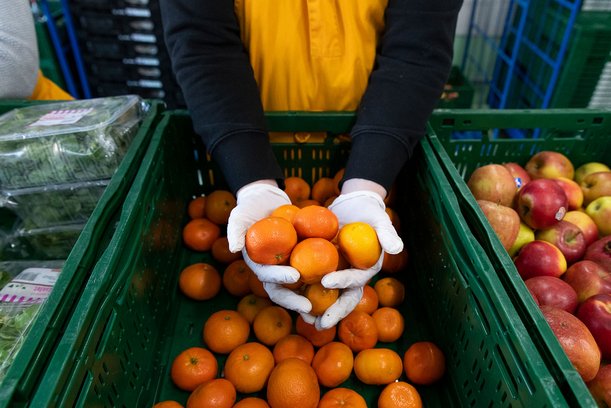 gespendete Lebensmittel